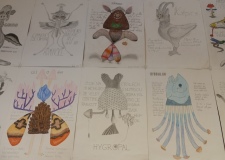 1_IMG_20240620_105112