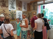 2_IMG_20240617_172355